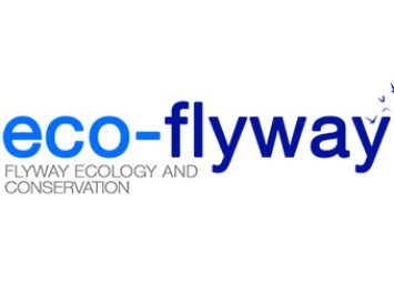 Eco-Flyway – Seguimento de Aves Marcadas