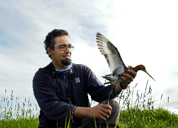 Aeroporto do Montijo colide com Pacto Ecológico Europeu