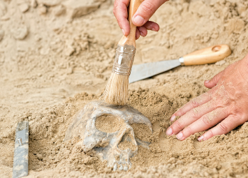 Humanos Modernos chegaram cedo a Portugal 