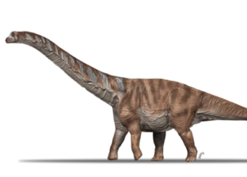 Investigador português contribui para descrição de um novo dinossauro dos Pirinéus