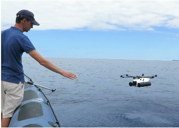 Investigadores portugueses no combate à poluição marinha