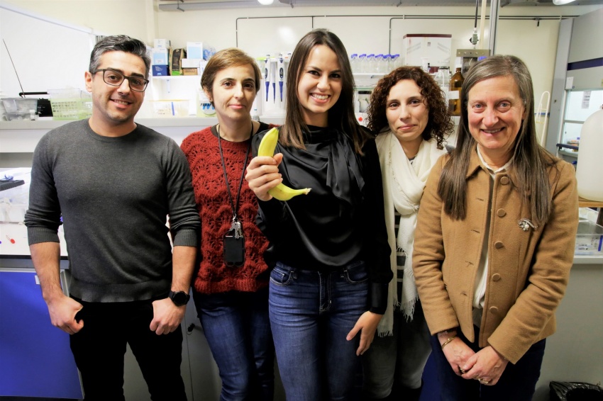 Casca de banana purifica água contaminada