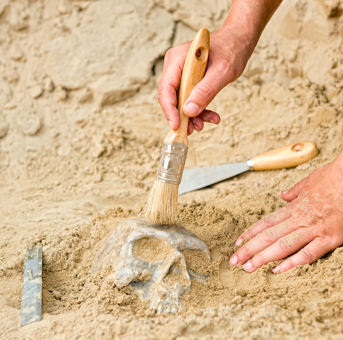 Humanos Modernos chegaram cedo a Portugal 