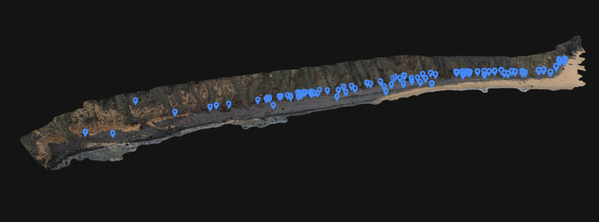 Investigadores portugueses no combate à poluição marinha