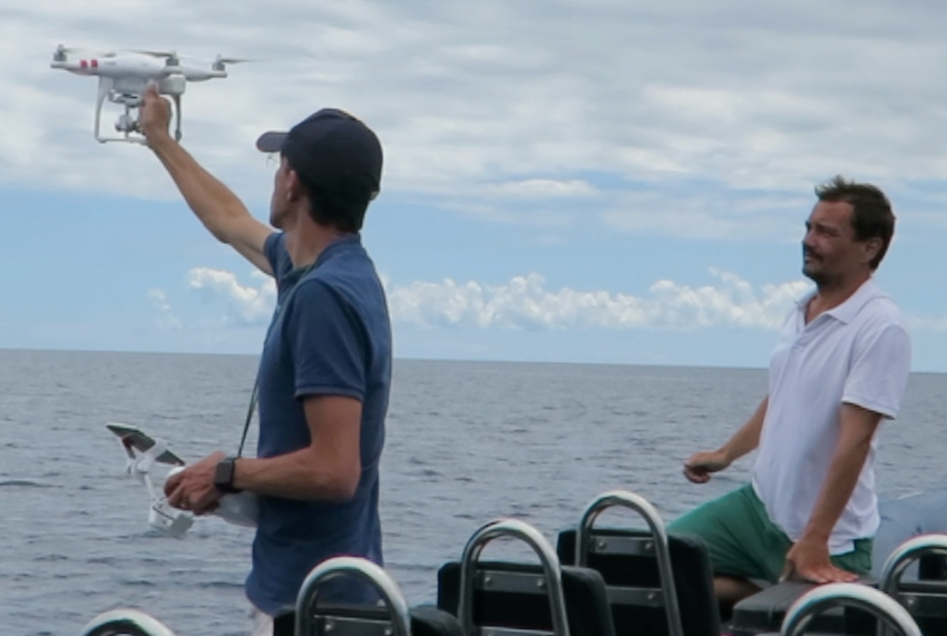 Investigadores portugueses no combate à poluição marinha