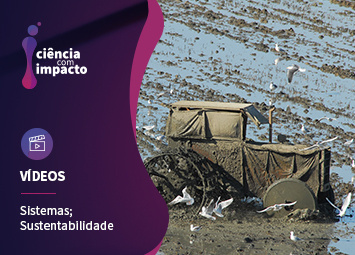 Desenvolvimento Sustentável e Sistemas Complexos