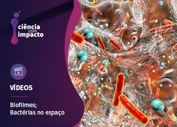 Comunidades de Bactérias