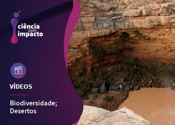 Biodiversidade dos Desertos