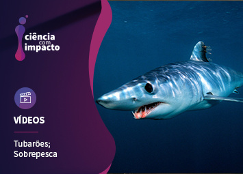 Tubarões sob Ameaça
