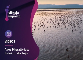 Aves Migradoras e o Estuário do Tejo