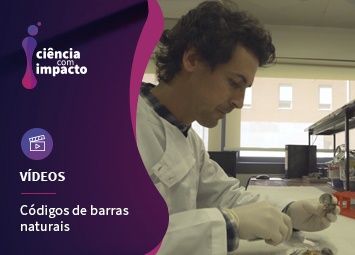 Códigos de Barras Naturais