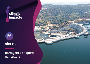 Alqueva Promove Agricultura Intensiva