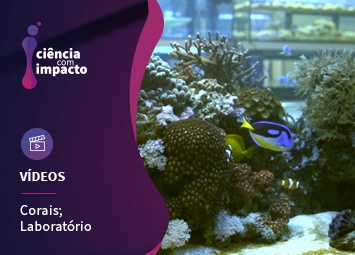 Criação de Corais mais Resistentes em Laboratório