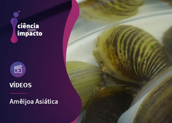 Potencial Biotecnológico da Ameijoa Asiática e Cianobactérias