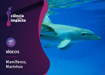 Conservação de Mamíferos Marinhos