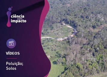 A Poluição dos Solos