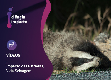 Estradas e Vida Selvagem