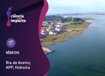 Navegar na Ria de Aveiro