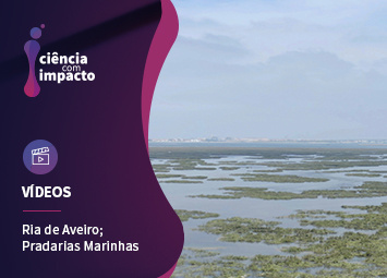 Serviços dos Ecossistemas. Pradarias Marinhas