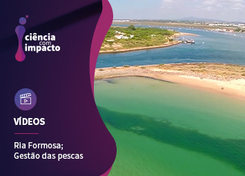 Uma Maternidade Chamada Ria Formosa