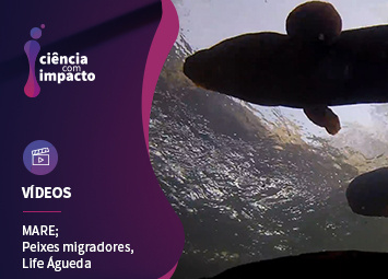 Peixes migradores dos Rios Portugueses