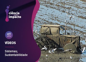 Desenvolvimento Sustentável e Sistemas Complexos